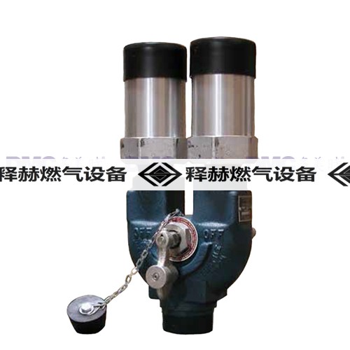 美國Rego 8542雙筒式安全閥系列