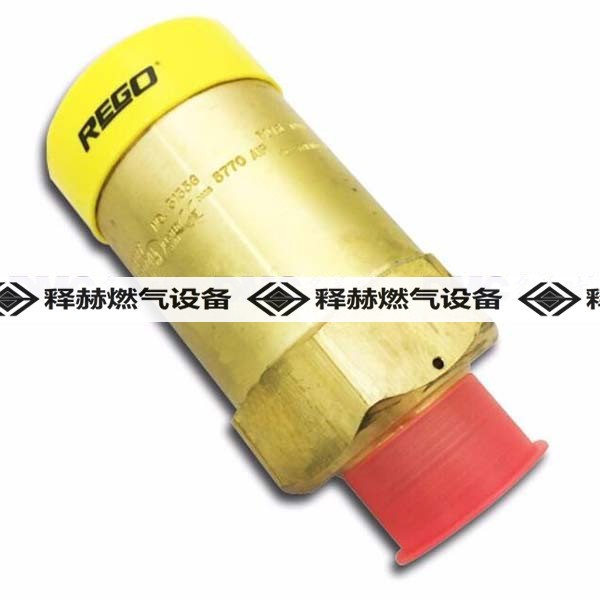 美國RegO 3133G 力高安全閥