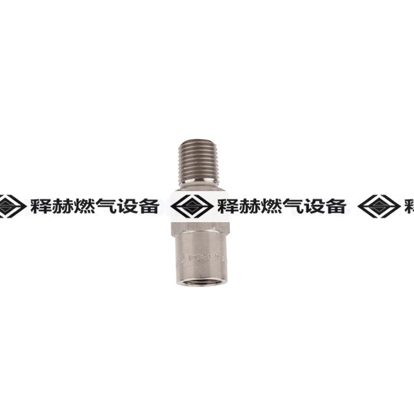 力高SS8001天然氣安全閥LPG|LNG燃?xì)獍踩y