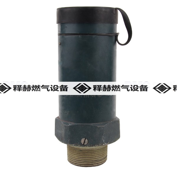 RegO A3149G天然氣安全閥RegO低溫設(shè)備閥門DN65安全閥