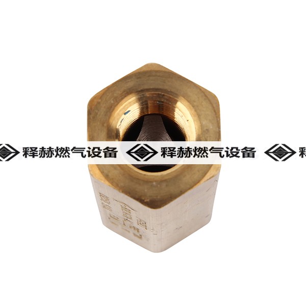 REGO CG375 3/8″不銹鋼低溫止回閥美國(guó)力高止回閥