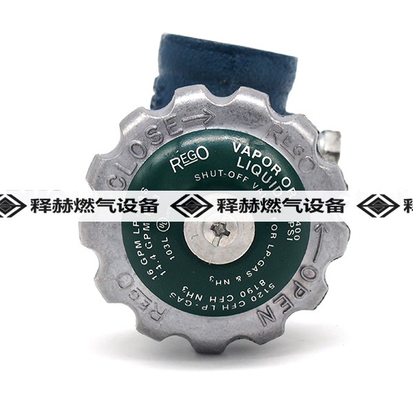 RegO 7550PX 力高角閥LNG角閥-REGO角閥品牌